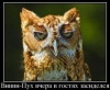 Белахвост's picture Белахвост's picture