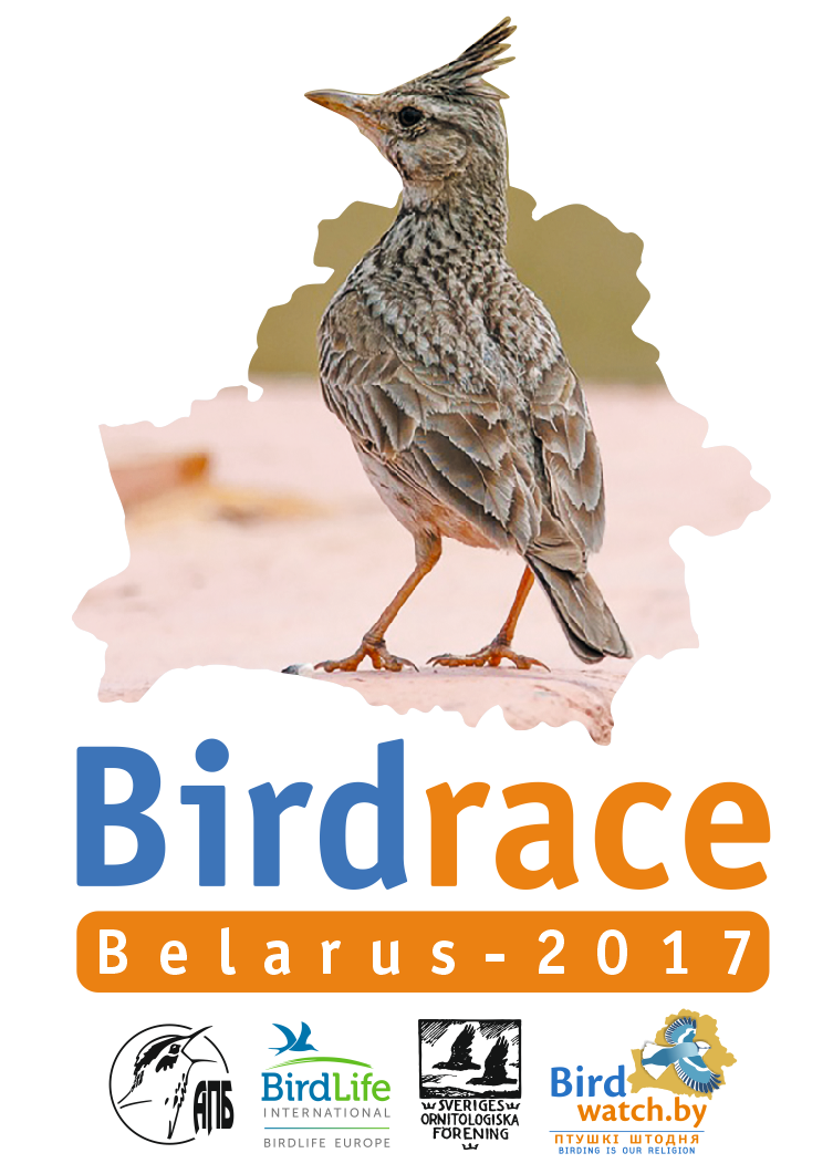 Birdrace-2017 Belarus