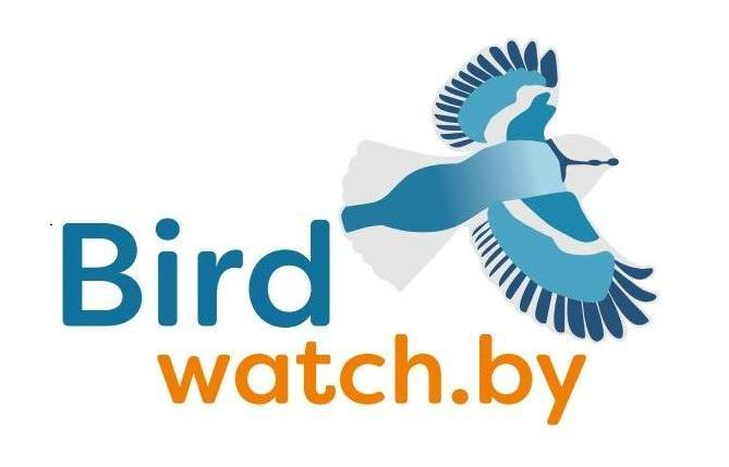 birdwatch