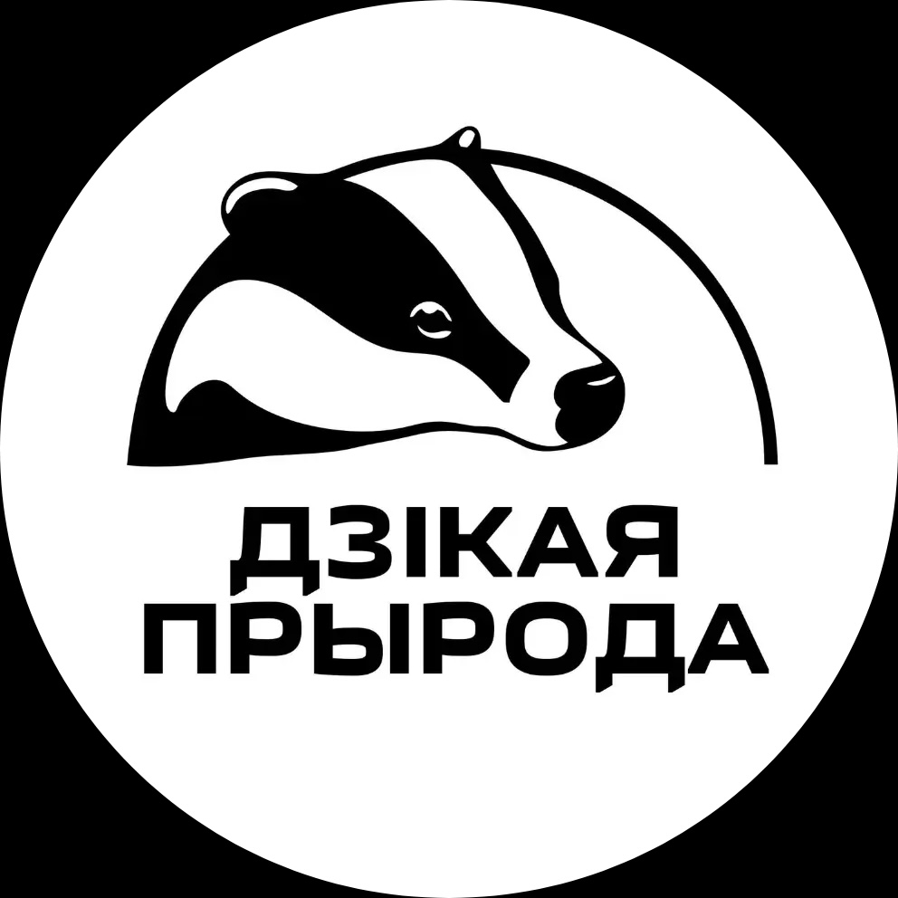 https://shop.wilderness.by/shop/uslugi/sohranenie-vidov/podderzhka-strima-s-gnezda-pustelgi/?utm_source=site&utm_medium=button&utm_campaign=support_pustelga_2026
