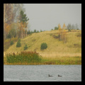 нырок-свірок