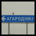 жаўрук-смяцюх