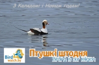 навагодняе віншачанне