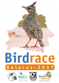 Birdrace-2017 Belarus