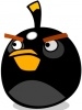 Profile picture for user Blackbird